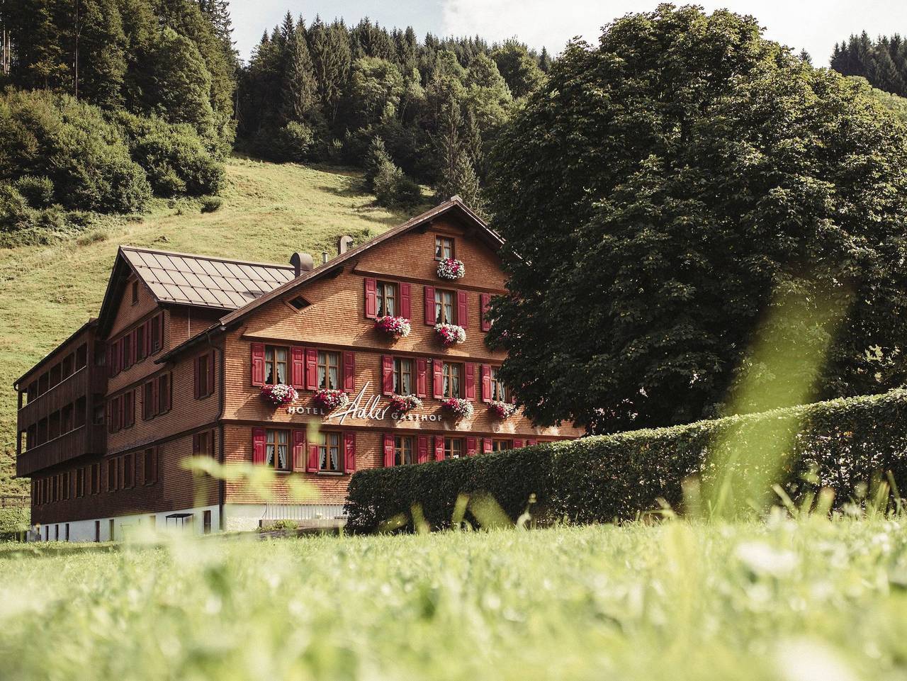 Der*Adler Schoppernau - Standard-Doppelzimmer Nanni (Hotel) in Schoppernau, Bregenzerwald