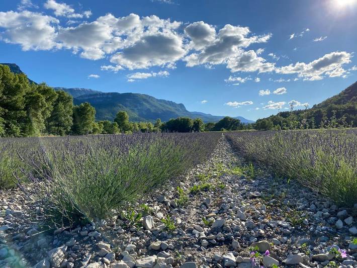 Location de vacances pour 7 personnes, avec vue et jardin, animaux acceptés dans Montfroc - 3