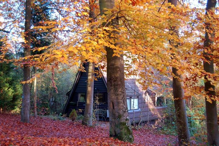 Bungalow voor 5 personen, with Balkon and Terras as well as Tuin in Provincie Luxemburg