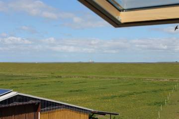 Ferienhaus für 5 Personen in Tümlauer Koog, Halbinsel Eiderstedt, Bild 4