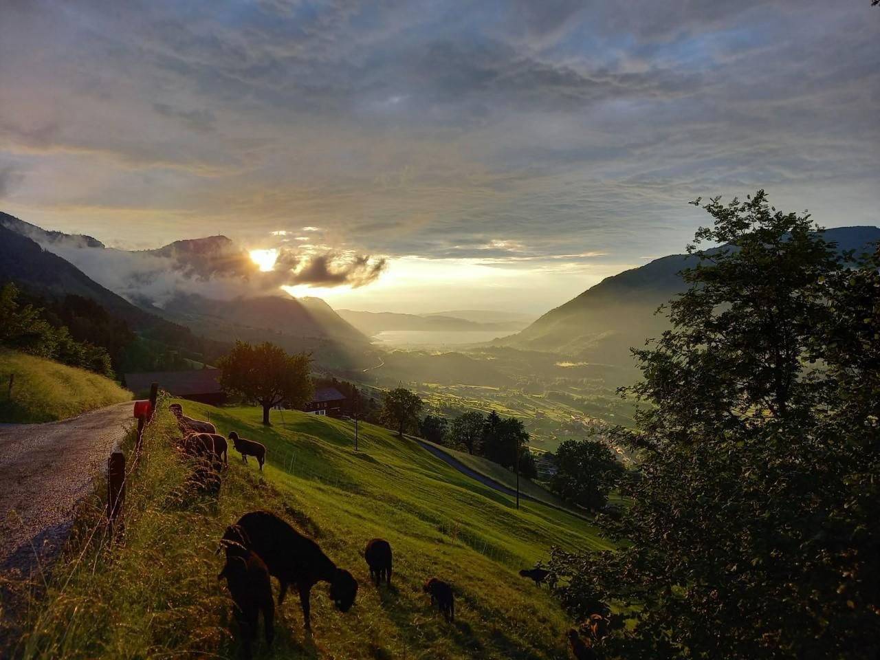 Appartamento intero, Biohof Langberg in Lauerz, Lago dei Quattro Cantoni