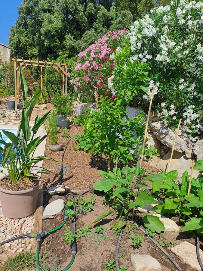 Location de vacances pour 6 personnes, avec piscine et terrasse à Saint-Bauzille-de-Montmel - 2