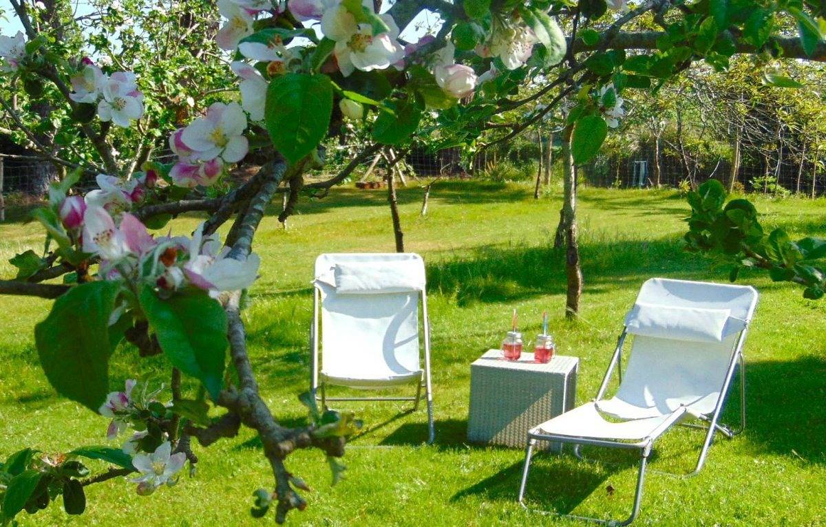 Ty lisette in Plomeur, Quimper region