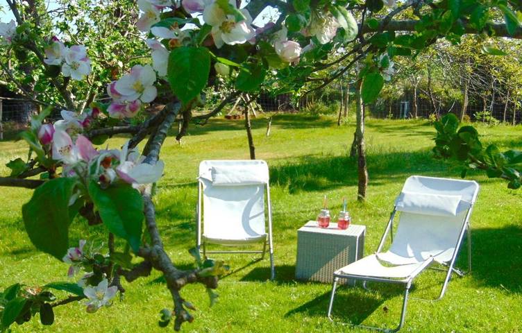 Ty lisette in Plomeur, Quimper und Umgebung