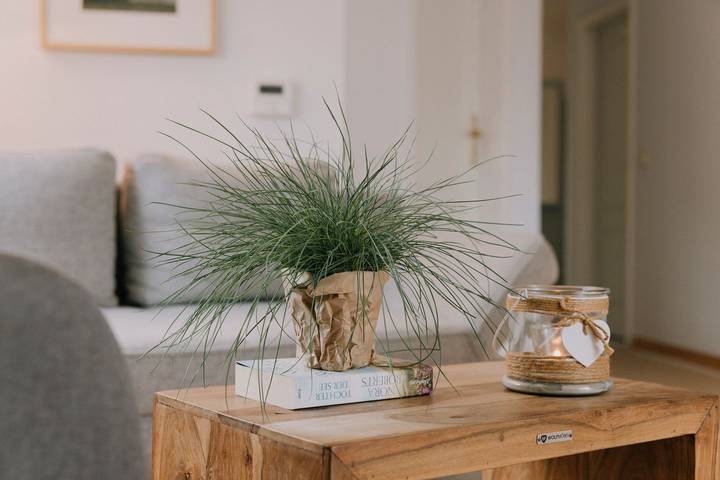 Ferienwohnung für 4 Personen, mit Balkon in Böhl (St. Peter-Ording) - 3