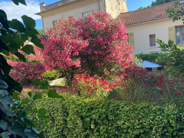 Chambre d’hôte pour 2 personnes, avec terrasse ainsi que jardin et vue à Arles - 2