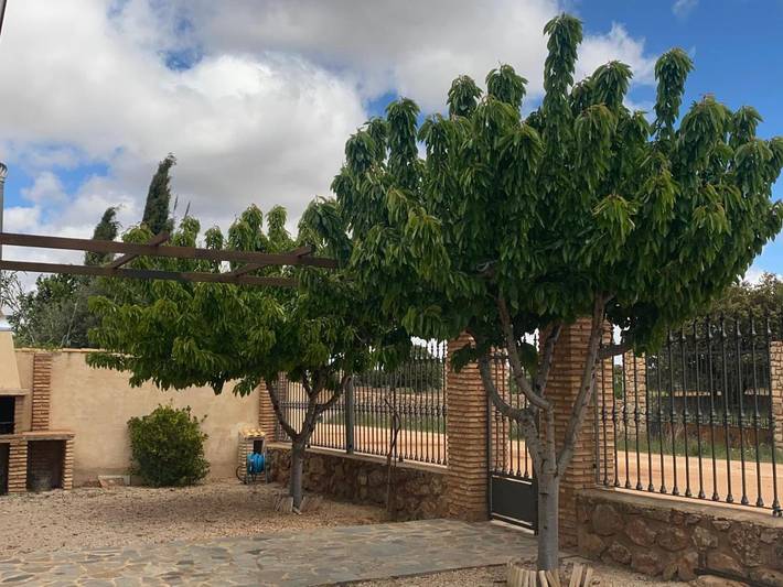 Casa rural para 4 personas, con jardín y vistas, Se admiten mascotas en Ossa de Montiel - 2