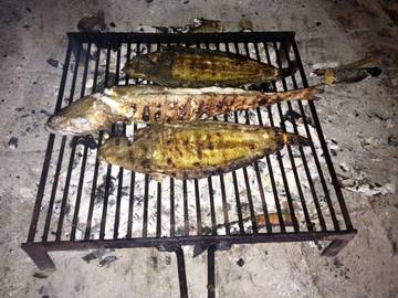 Dom dla 4 osoby w Grohote, Šolta, Zdjęcie 2