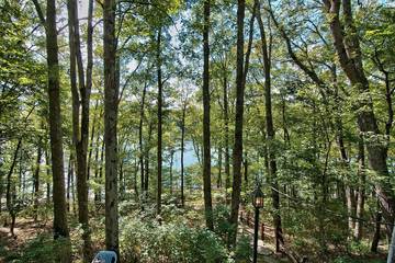 Cabin for 8 Guests in Lake Wallenpaupack, Pocono Mountains, Picture 1