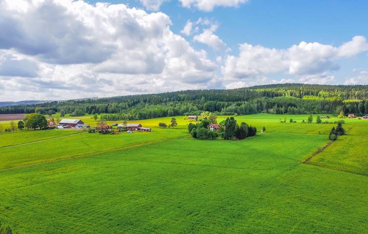 Ferienhaus für 8 Personen mit Garten in Värmland