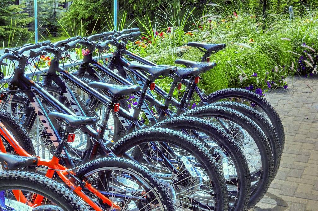 Ganze Wohnung, Aktualisiert Gemütlich + Helle Suite mit eigenem Balkon | Tunnelberg! in Banff, Banff-Nationalpark