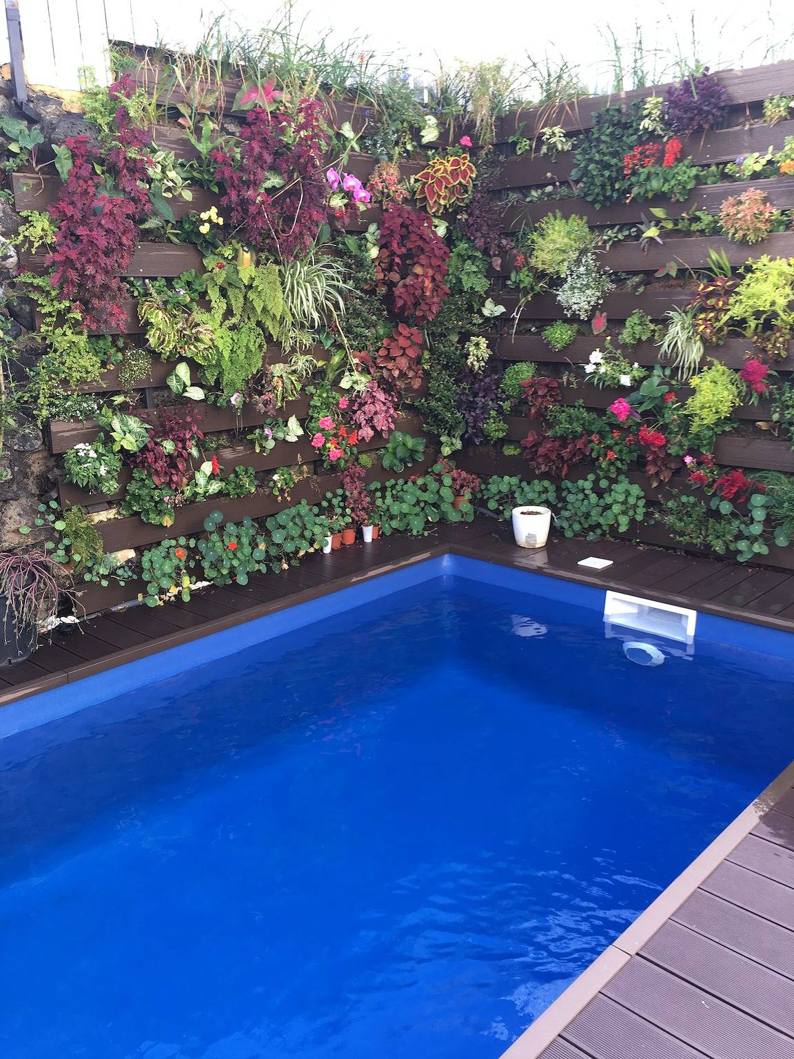 Entire studio, Comfortable studio Le Port 24 m² with shared pool in La Réunion