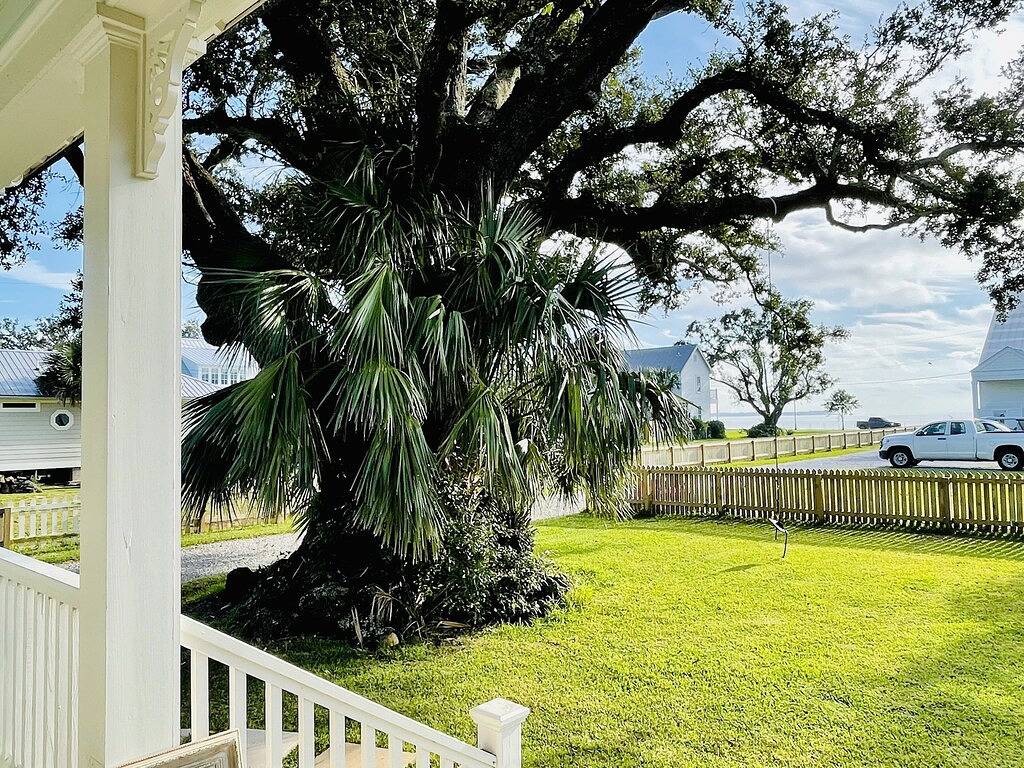 Acadian cottage 1 minute walk to beach, 5 minutes to Old Town Bsl! Best location in Bay St. Louis, Mississippi Gulf Coast