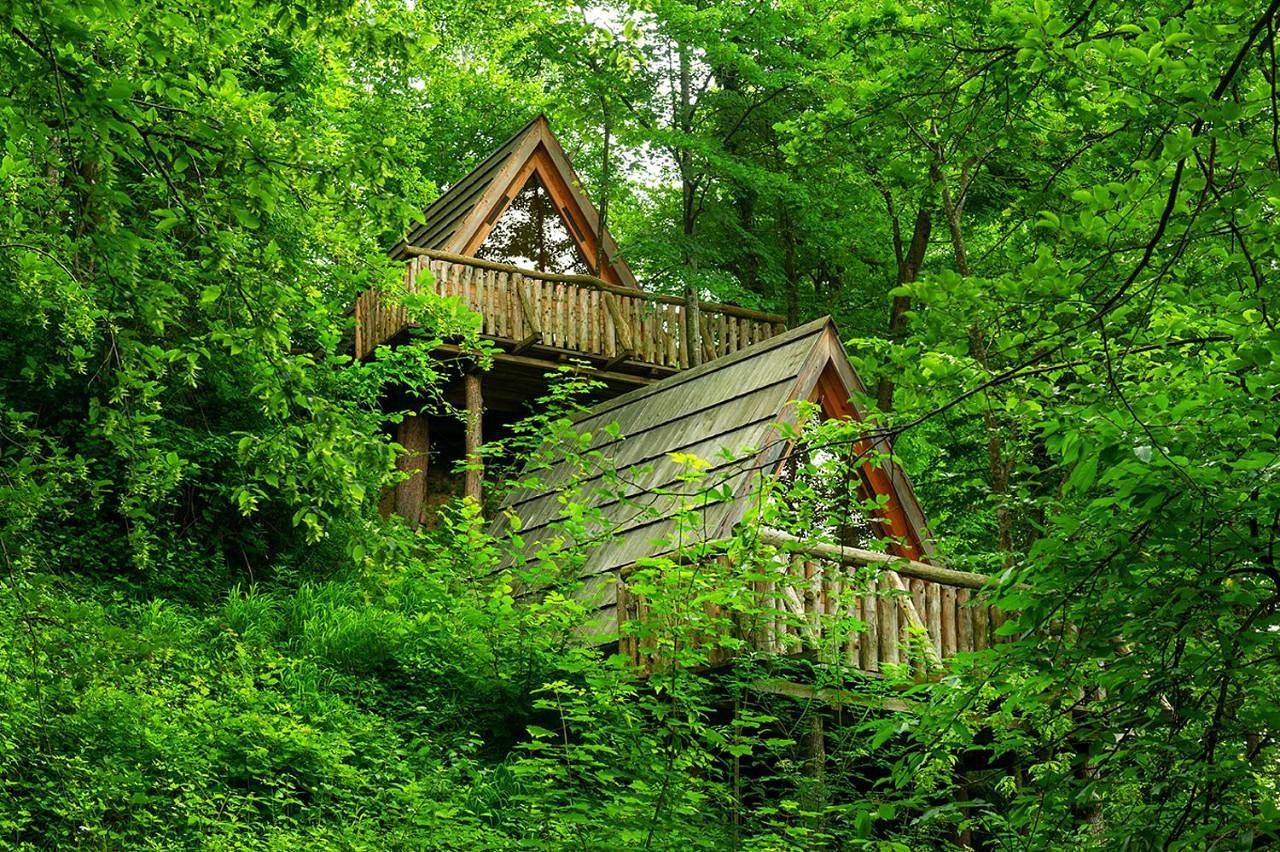 Glamping Savinja in Karawanken und Bachergebirge, Untersteiermark
