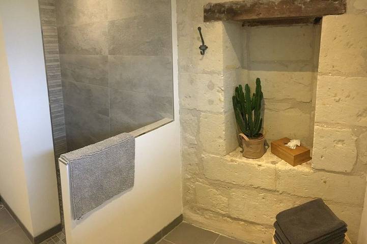 Location de vacances pour 8 personnes, avec terrasse et jardin, animaux acceptés à Allonnes - 4