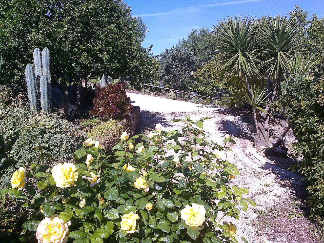 Casa Bi Rosario - Quinta Amoreira in Benafim, Distrito de Faro