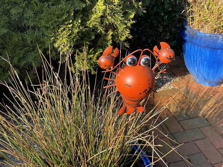 Ferienhaus für 2 Personen, mit Terrasse und Garten in Krummhörn - 4