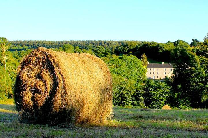 Maison de vacances pour 6 personnes, avec jardin et terrasse - 1