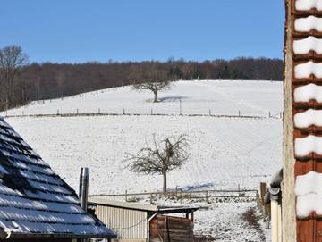 Bauernhaus für 4 Personen in Modautal, Odenwald, Bild 1