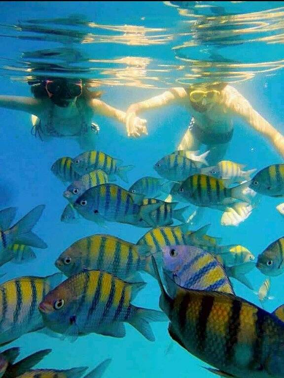 Ganze Wohnung, Toller Zustand. Geschlossen - Sicherheit & Concierge 24 Stunden - Wifi - Klimaanlage in Enseada, Região Metropolitana do Vale do Paraíba e Litoral Norte
