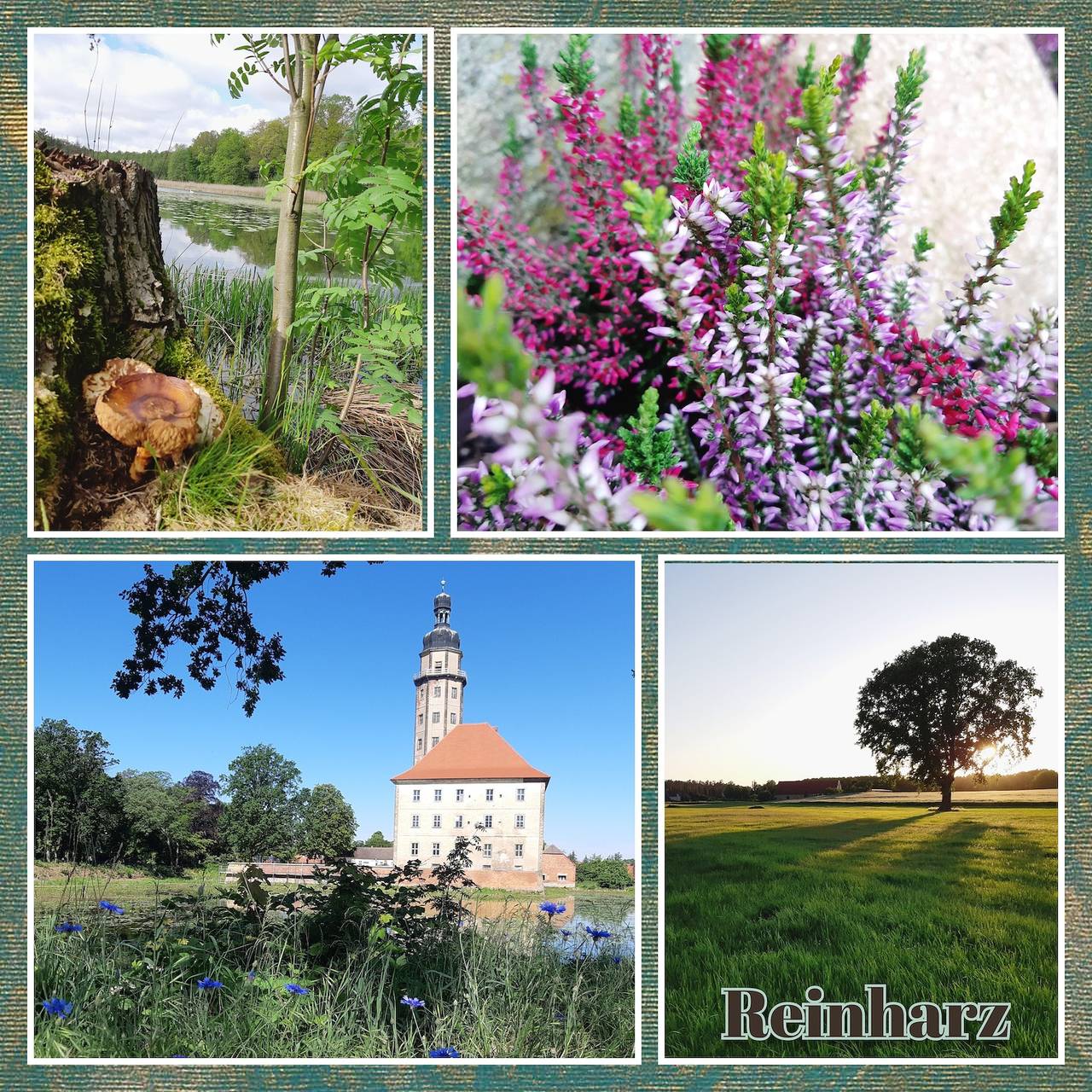 Ferienhaus für 2 Personen in Bad Schmiedeberg, Dübener Heide