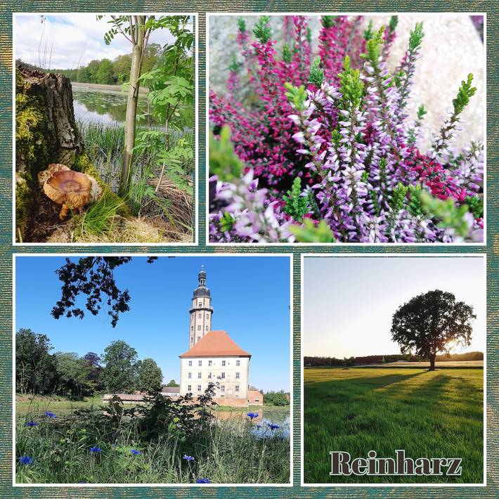 Ferienhaus für 2 Personen, mit Garten in Lutherstadt Wittenberg und Umgebung