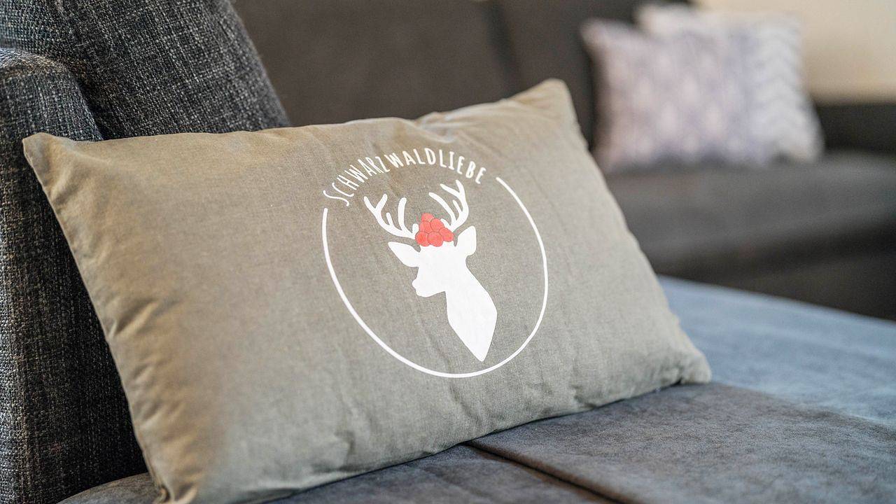 Ganze Ferienwohnung, Ferienwohnung für 4 Personen (55 m²) in Hofstetten (Baden-Württemberg) in Hofstetten, Mittlerer Schwarzwald