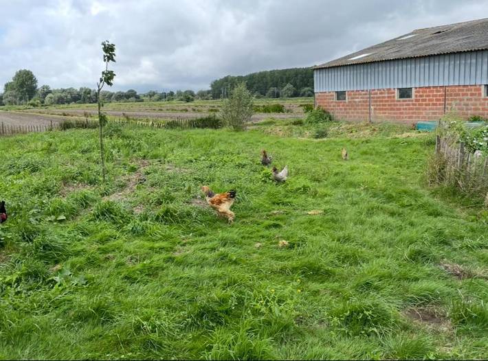 Location de vacances pour 16 personnes, avec terrasse et vue dans Marais des Moines - 4