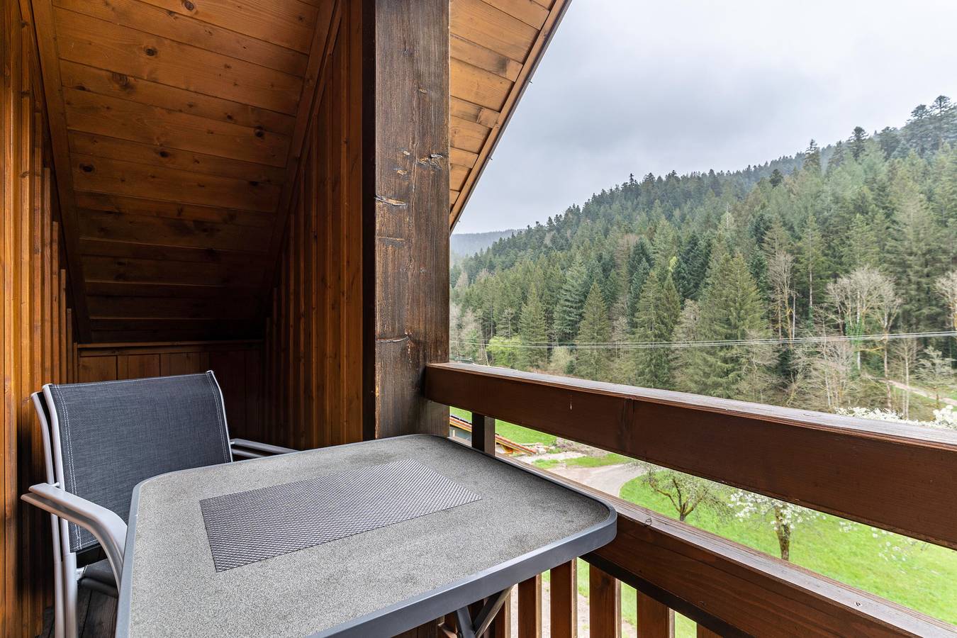 Ganze Wohnung, Ferienwohnung 2 Im Bauernhaus" mit gemeinsamer Terrasse, Gemeinschaftsgarten und Wlan in Bad Rippoldsau-Schapbach, Mittlerer Schwarzwald