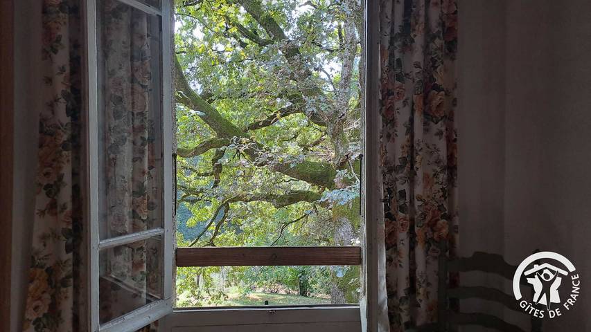 Gîte für 5 Personen, mit Pool und Terrasse in Occitanie - 4