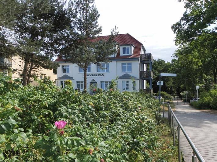 Ferienwohnung für 3 Personen, mit Haustier in Tarnewitz