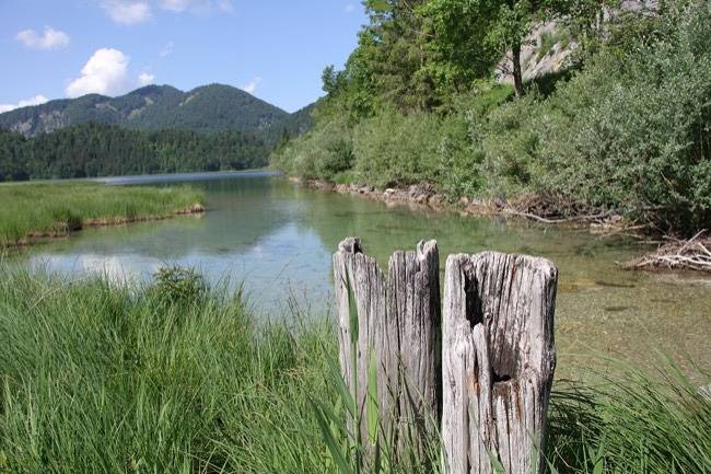 Ferienwohnung für 2 Personen, mit Garten in Ruhpolding - 3