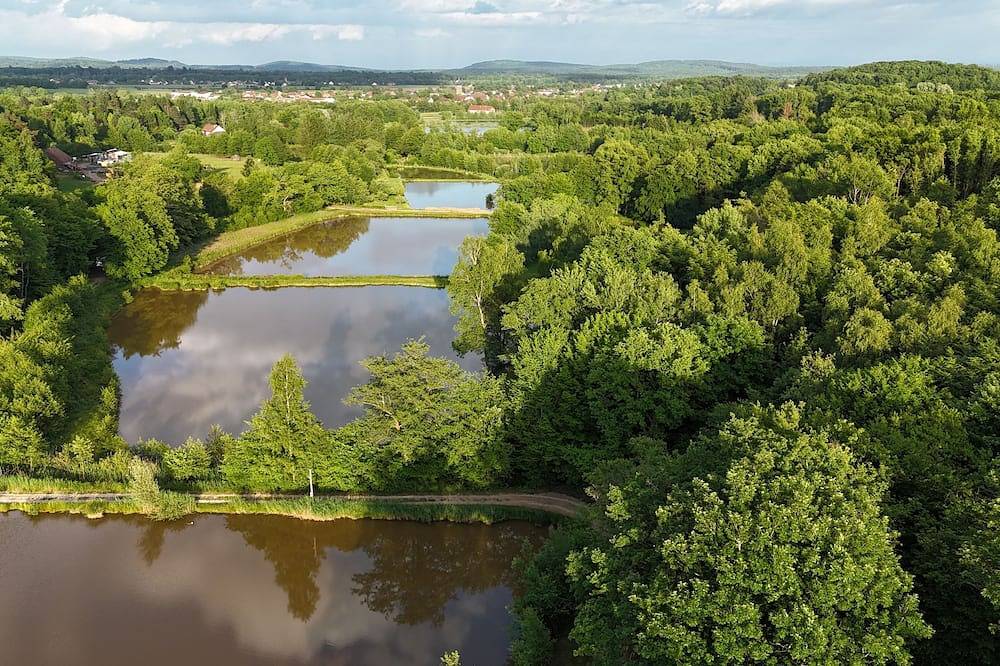 Pond cabin in Lachapelle-sous-Chaux, Regionaler Naturpark Belchen der Vogesen