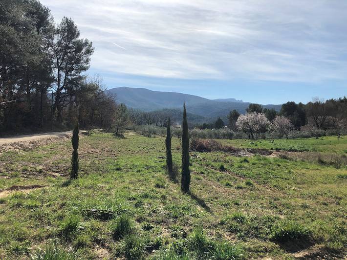 Villa pour 10 personnes, avec jardin ainsi que piscine et terrasse dans le Sud de la France - 4