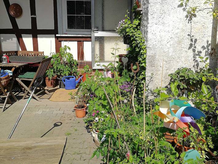 Hütte für 9 Personen, mit Balkon und Garten, mit Haustier im Odenwald - 2