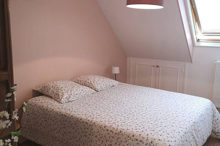 Location de vacances pour 18 personnes, avec jardin et jacuzzi, animaux acceptés à Châtillon-sur-Marne - 4