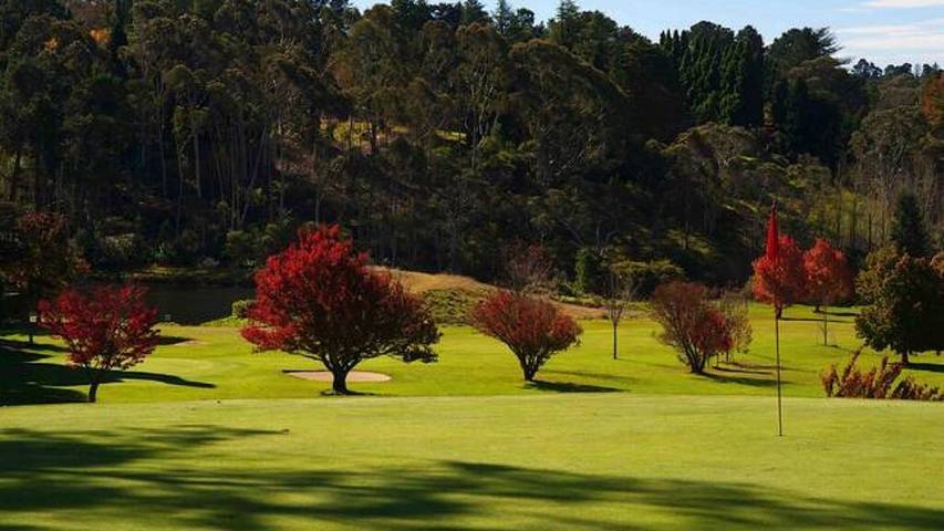 Holiday home for 10 people, with garden and terrace in Leura