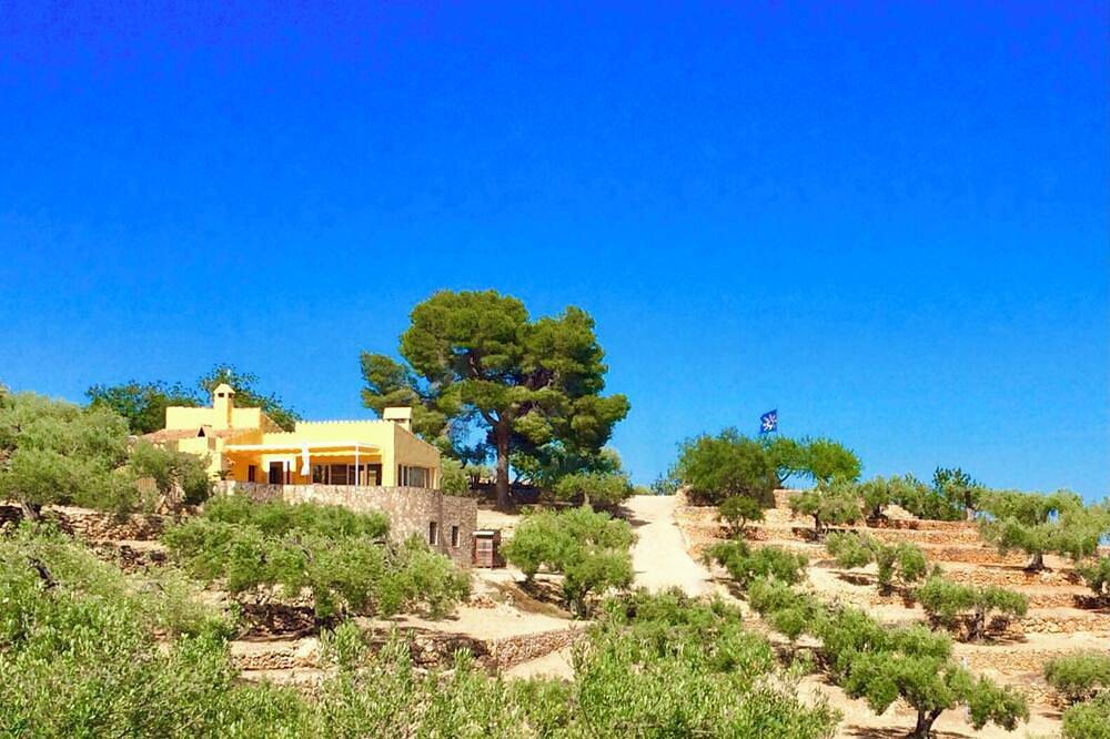 15 minutes to the sea, your vacation paradise in the middle of an olive grove! in Tierras del Ebro, Costa Dorada