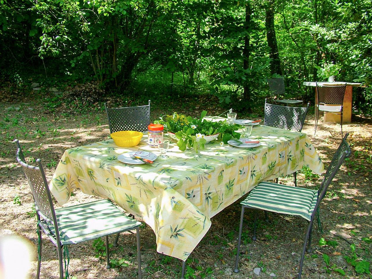 Serena (Cox100) in Conio (Borgomaro), Borgomaro