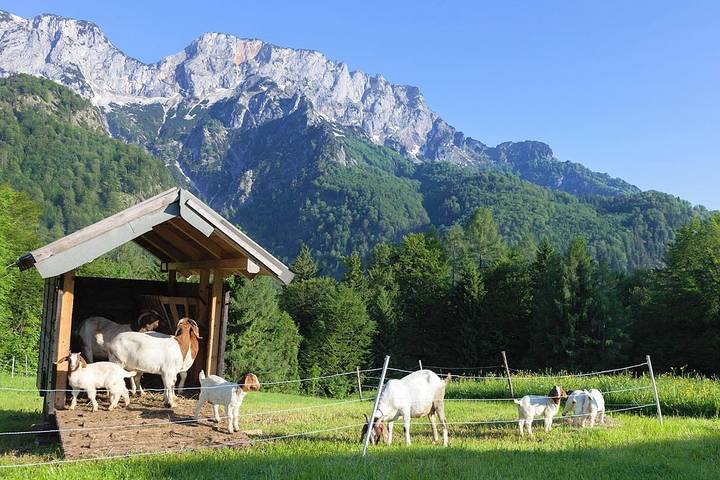 Ferienhaus für 5 Personen in Oberbayern - 4