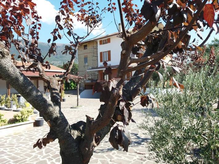 Chambre d’hôte pour 2 personnes, avec jardin ainsi que piscine et vue à Assise - 3