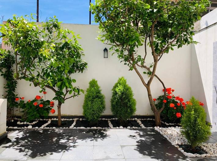 Chambre d’hôte pour 2 personnes, avec vue et jardin à Torre Annunziata - 2