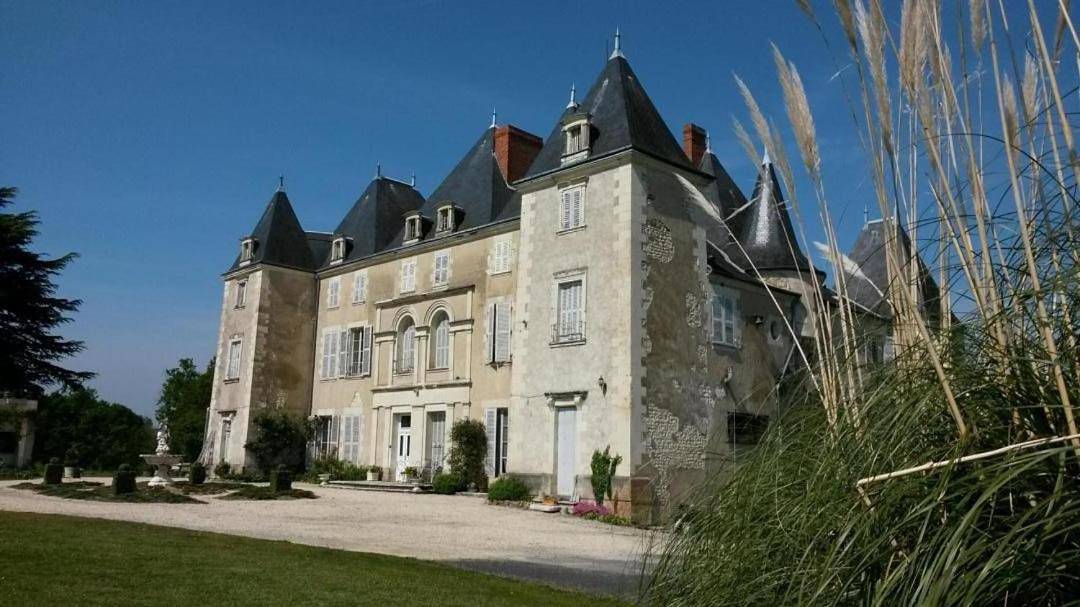 Château de piolant in Dangé-Saint-Romain, Vienne (France)