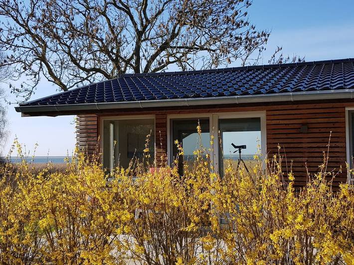 Ferienhaus für 2 Personen, mit Terrasse in Groß Mohrdorf - 2