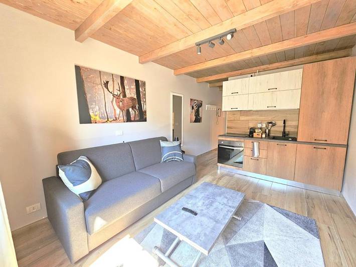 Appartement de vacances pour 3 personnes, avec vue et balcon, animaux acceptés - 1