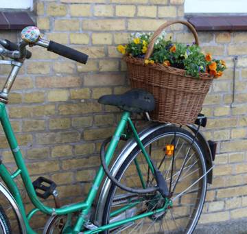 Bauernhof für 4 Personen in Dellstedt, Dithmarschen, Bild 3