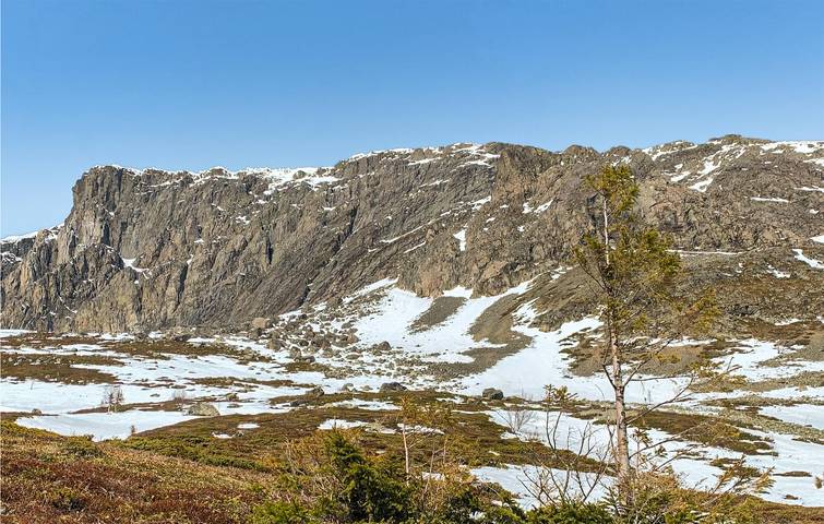 Ferienhaus für 8 Personen, mit Garten, mit Haustier in Hemsedal - 4