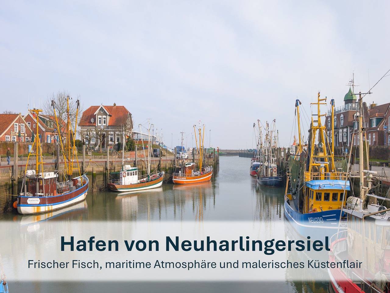 Ganze Ferienwohnung, Stedesdorf, Nordseeferienwohnung 'Seehund' - Nordsee-Ferienwohnung Seehund in Thunum, Stedesdorf