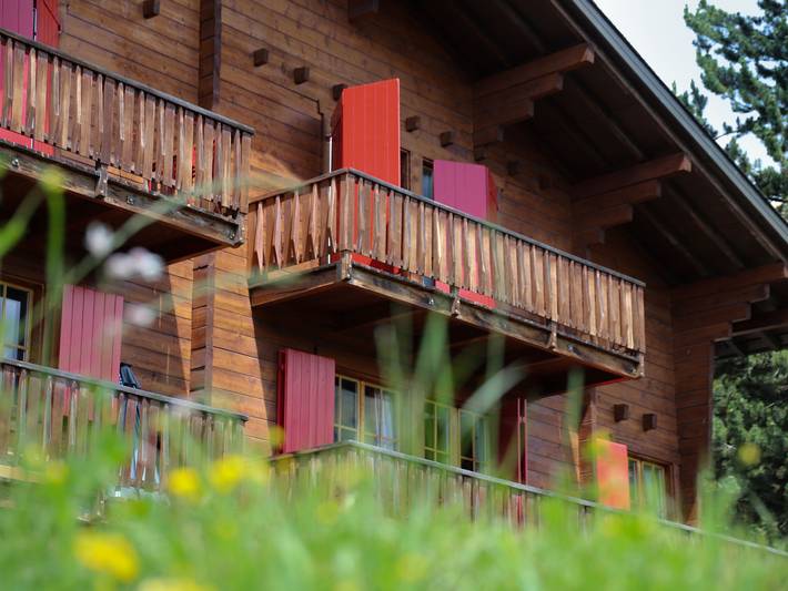 Ganze Wohnung, Rousserolles rez gauche in Bagnes, Walliser Alpen