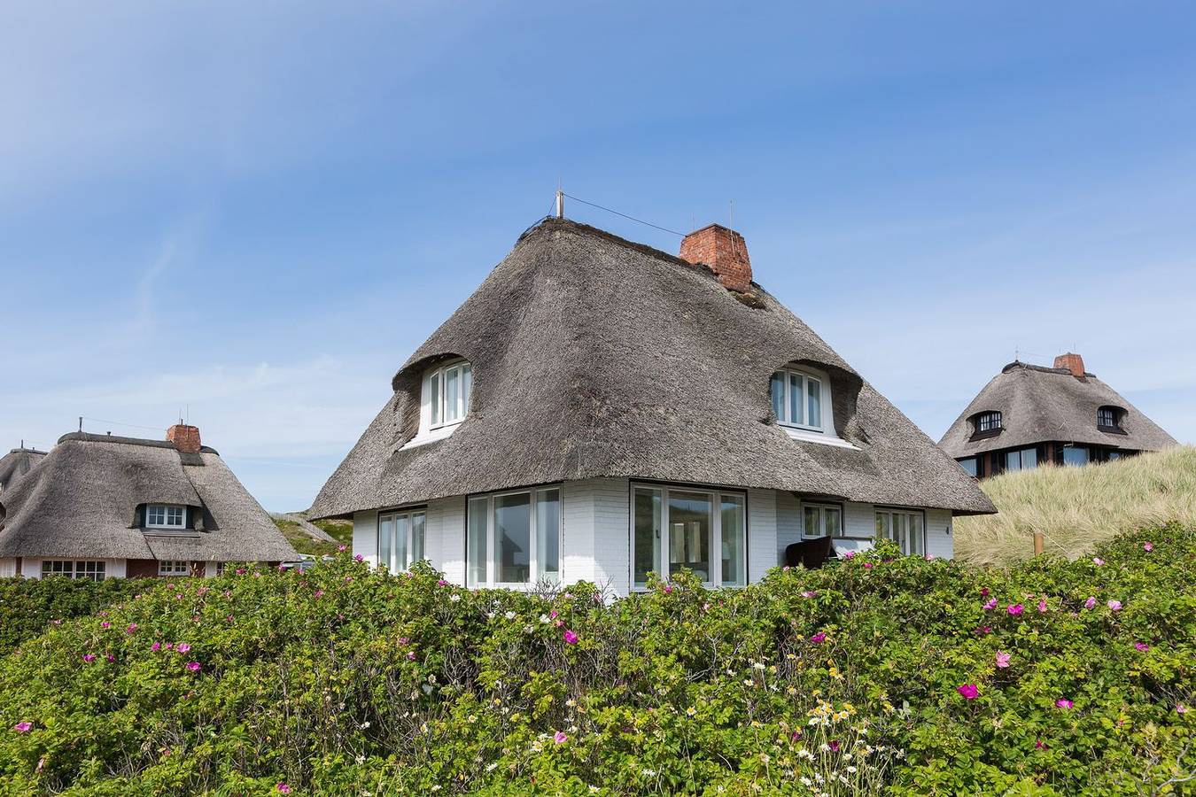 Viel mehr "Sylt pur" als im Sturmnest können Sie inselweit nicht finden. in Hörnum, Sylt